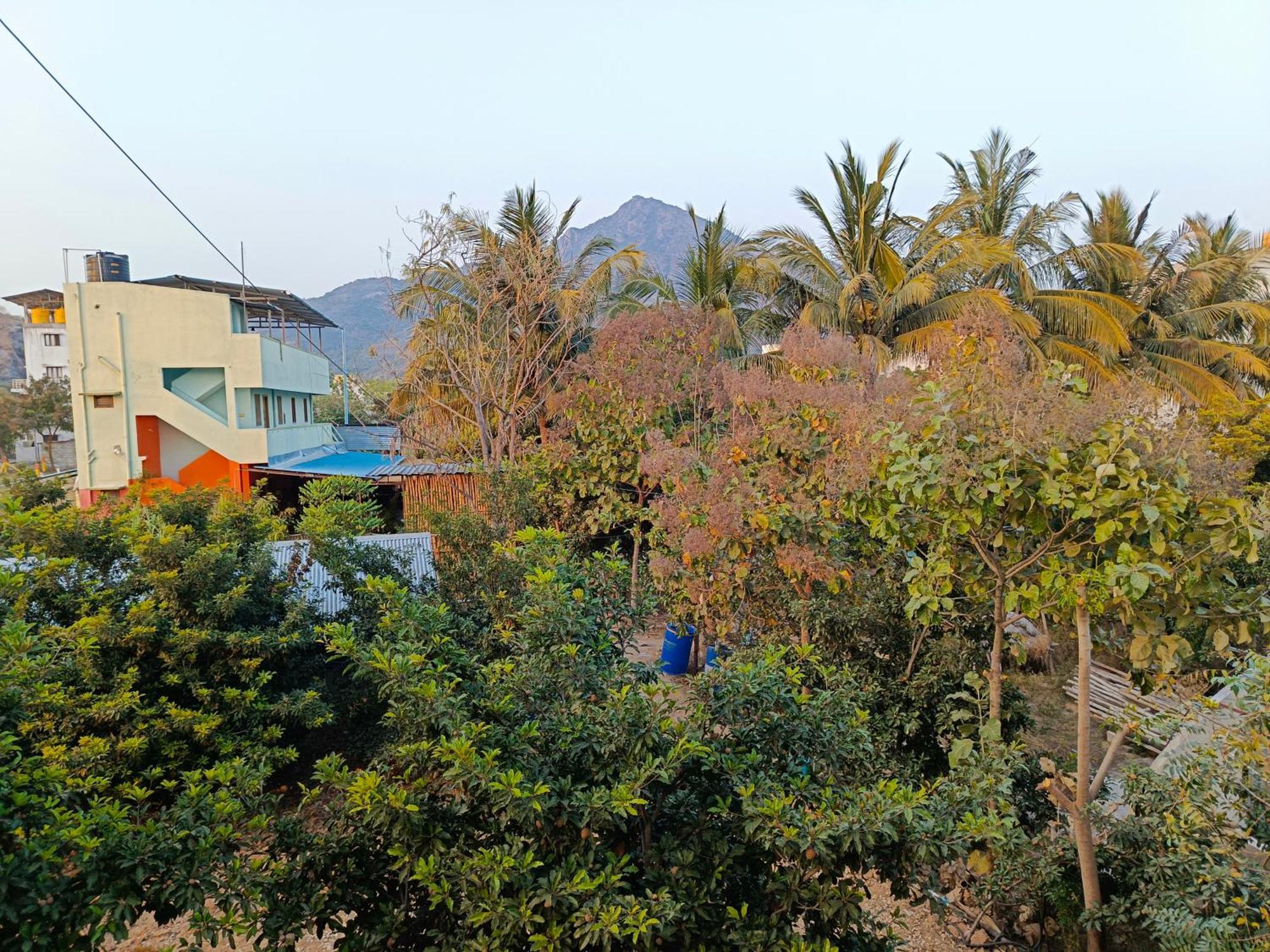 Abaranji Guest House Tiruvannāmalai エクステリア 写真